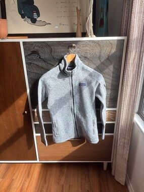 Patagonia Light Heather Gray Full-Zip Fleece Jacket